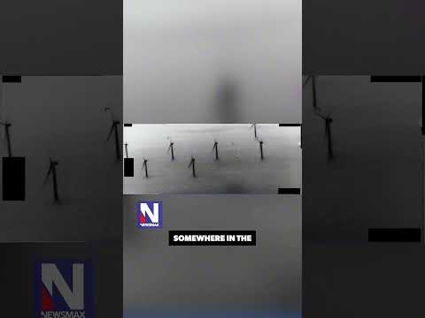 You are currently viewing ‘Have you seen this one?’: Greg Kelly sifts through UFO files