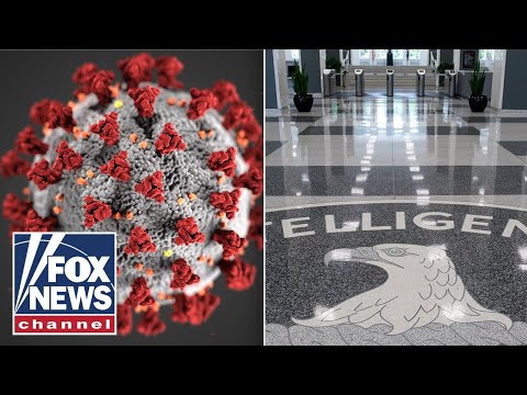 Read more about the article CIA ‘unhappy’ with COVID whistleblower hearing: ‘Political theater’