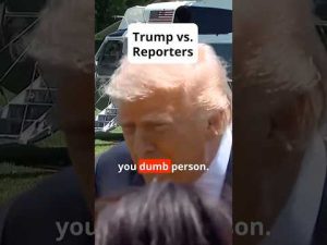 Read more about the article Trump vs Reporters