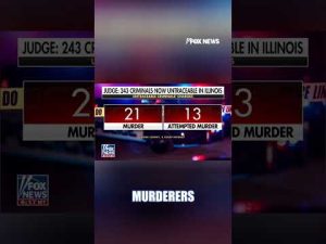 Read more about the article Hundreds of criminals now UNTRACEABLE in Illinois #shorts #foxnews #usnews #Illinois