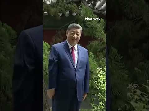 Read more about the article President Xi gave President Trump a private tour of the garden at Zhongnanhai #trump #shorts #xi