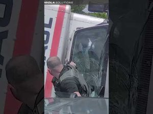 Read more about the article WILD police chase ends when police perform a PIT maneuver #chase #shorts #police #policechase