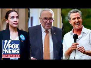 Read more about the article This party ONLY cares about power: Political commentator Josh Hammer
