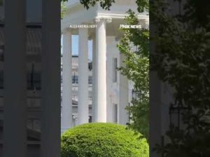 Read more about the article Bees SWARM White House press area #foxnews #news #us #fox