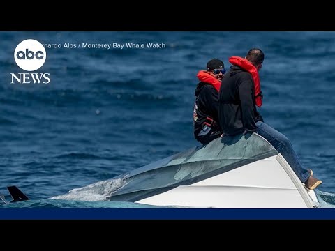 Read more about the article Dramatic ocean rescue off the California coast