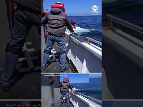 Read more about the article Fishermen rescued from sinking ship six miles off coast
