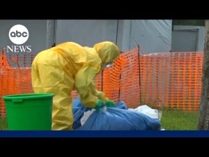 Read more about the article Global health update: Hantavirus, Ebola