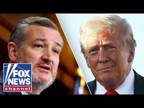 Read more about the article Ted Cruz: They are defined by HATRED for Trump