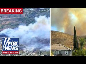 Read more about the article BREAKING: Reagan Library evacuated after fast-moving wildfire breaks out in California