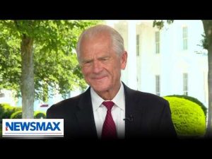 Read more about the article ‘How about we take a page out of their book’: Peter Navarro on Chinese regime