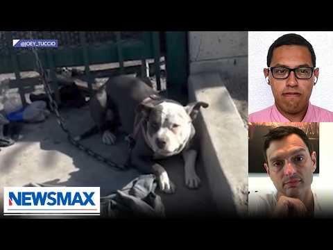 Read more about the article Dogs are overdosing in Los Angeles’ Skid Row | Finnerty