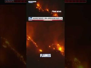 Read more about the article Wildfire TORCHES 1,300+ acres in Simi Valley #foxnews #news #shorts #fire #california