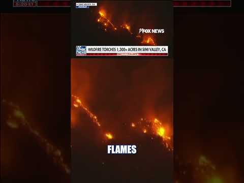 You are currently viewing Wildfire TORCHES 1,300+ acres in Simi Valley #foxnews #news #shorts #fire #california