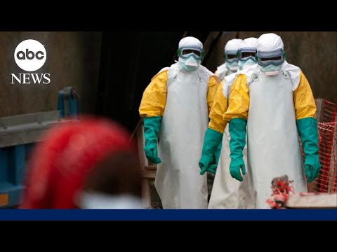 Read more about the article What does Ebola actually do, and how does it spread?