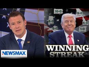 Read more about the article Carl Higbie: Trump is cleaning up the Republican Party