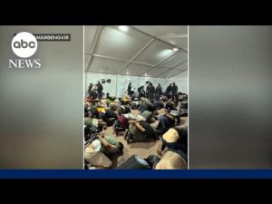 Read more about the article Israel faces global outcry over videos flaunting detention of activists