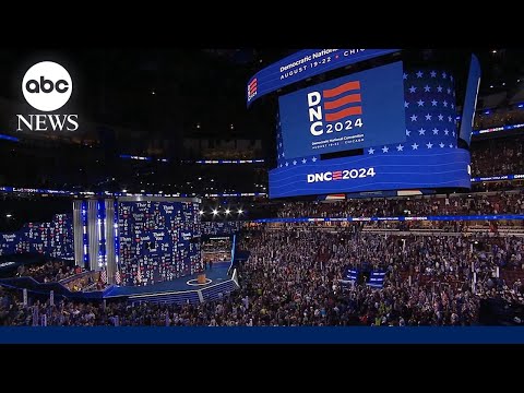 You are currently viewing Democrats’ 2024 election autopsy blames Biden campaign for failing to set up Harris