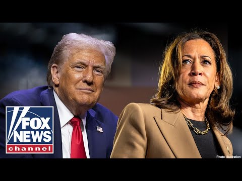 You are currently viewing BOMBSHELL report on 2024 election RELEASED