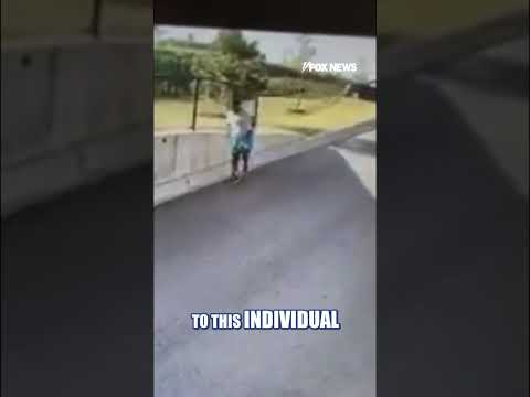 You are currently viewing WATCH: Alleged fraudster ESCAPES after being charged #shorts #us #news #foxnews