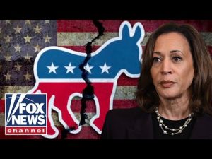 Read more about the article ‘DISASTER!’: Former Dem megadonor delivers SCATHING party assessment