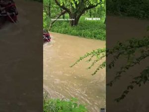 Read more about the article First responders RESCUE high schooler, grandparents from creek #foxnews #news #us #fox