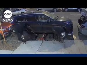 Read more about the article 16 indicted in $1M Bronx auto-theft ring