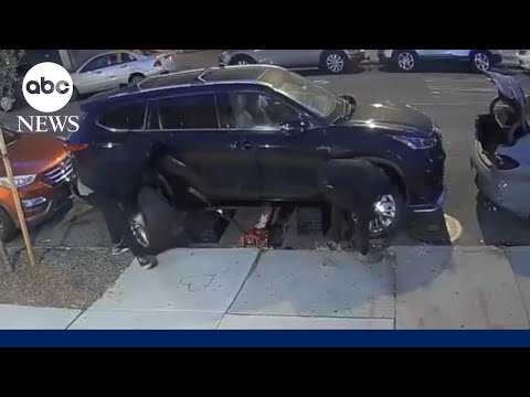 Read more about the article 16 indicted in $1M Bronx auto-theft ring