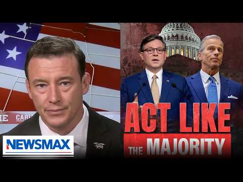 You are currently viewing Carl Higbie: ‘RINOS are going to give the country to the Democrats’