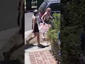 Read more about the article WATCH: Police are looking for woman caught on cam stealing Pratt campaign sign #police #shorts #lapd