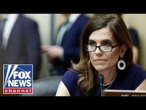 Read more about the article Nancy Mace targets ‘Squad’ Dems with proposed ban on foreign-born lawmakers