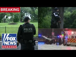 Read more about the article Secret Service reportedly takes down armed individual outside White House after shots fired