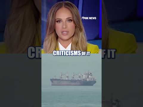 Read more about the article They are ‘UNDERMINING’ our country: Tomi Lahren #foxnews #news #us