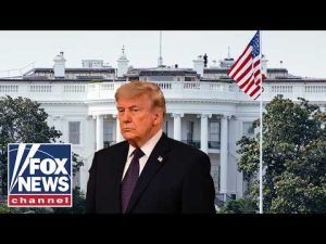 Read more about the article ‘THIS IS HISTORIC’: Trump targeted AGAIN by gunman