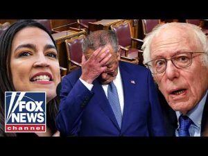 Read more about the article ‘OUR PARTY IS DIVIDED’: Ex-Clinton advisor says Democrats need a MAJOR ‘reset’