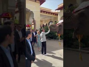 Read more about the article MASSIVE elephant greets Marco Rubio ahead of India meeting #shorts #us #news #rubio #elephant #india
