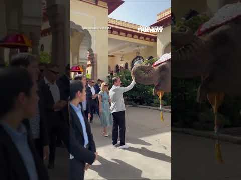 You are currently viewing MASSIVE elephant greets Marco Rubio ahead of India meeting #shorts #us #news #rubio #elephant #india