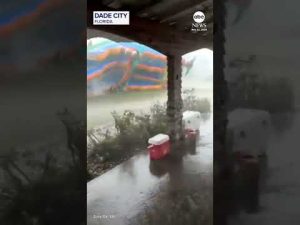 Read more about the article Bouncy house goes flying through Florida backyard