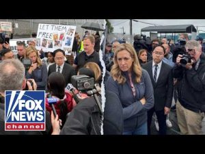 Read more about the article Dems RIPPED for ‘selective’ outrage: ‘POLITICAL STUNT’