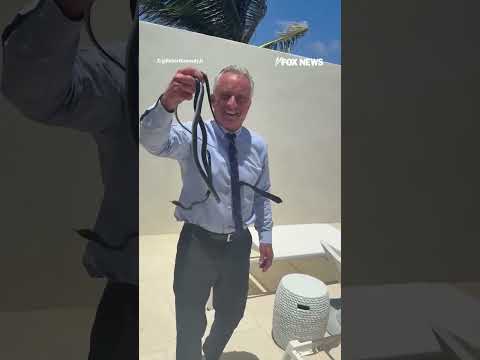 Read more about the article ‘Those are dangerous!’: RFK Jr. shares WILD video… #rfkjr #shorts #snake
