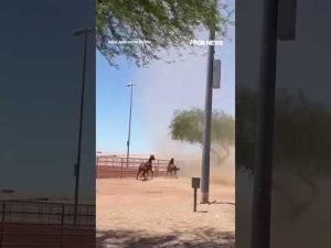 Read more about the article WATCH: A large dust devil whipped through Arizona startling two horses #horse #shorts #arizona