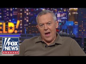 Read more about the article Gutfeld: This is MADNESS