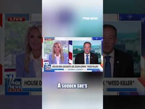 Read more about the article EPA’s Zeldin says he was ‘totally confused’ by heated standoff with rep #shorts  #news #foxnews #us