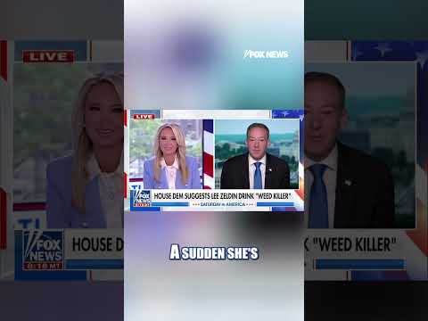 Read more about the article EPA’s Zeldin says he was ‘totally confused’ by heated standoff with rep #shorts  #news #foxnews #us