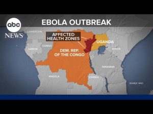 Read more about the article IRC warns conflict, aid cuts could fuel Ebola crisis