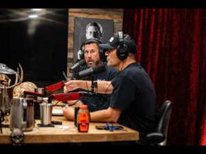 Read more about the article JRE MMA Show #179 with Josh Thompson & “Big” John McCarthy
