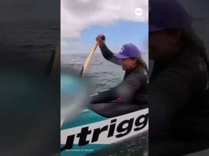 Read more about the article Sea lion jumps onto canoe during race off California coast