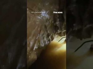 Read more about the article WATCH: Rescuers break down in tears after saving people trapped inside flooded cave  #fox #media #