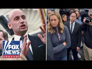 Read more about the article ‘PRO-CRIMINAL DEMOCRATS’: Anti-ICE protests face backlash