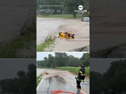 Read more about the article Baby deer rescued from flood waters in Indiana