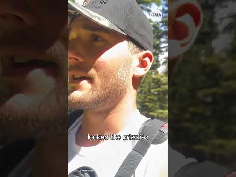 Read more about the article Hikers speak out after grizzly bear encounter caught on camera